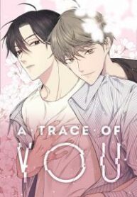 Trace Of You
